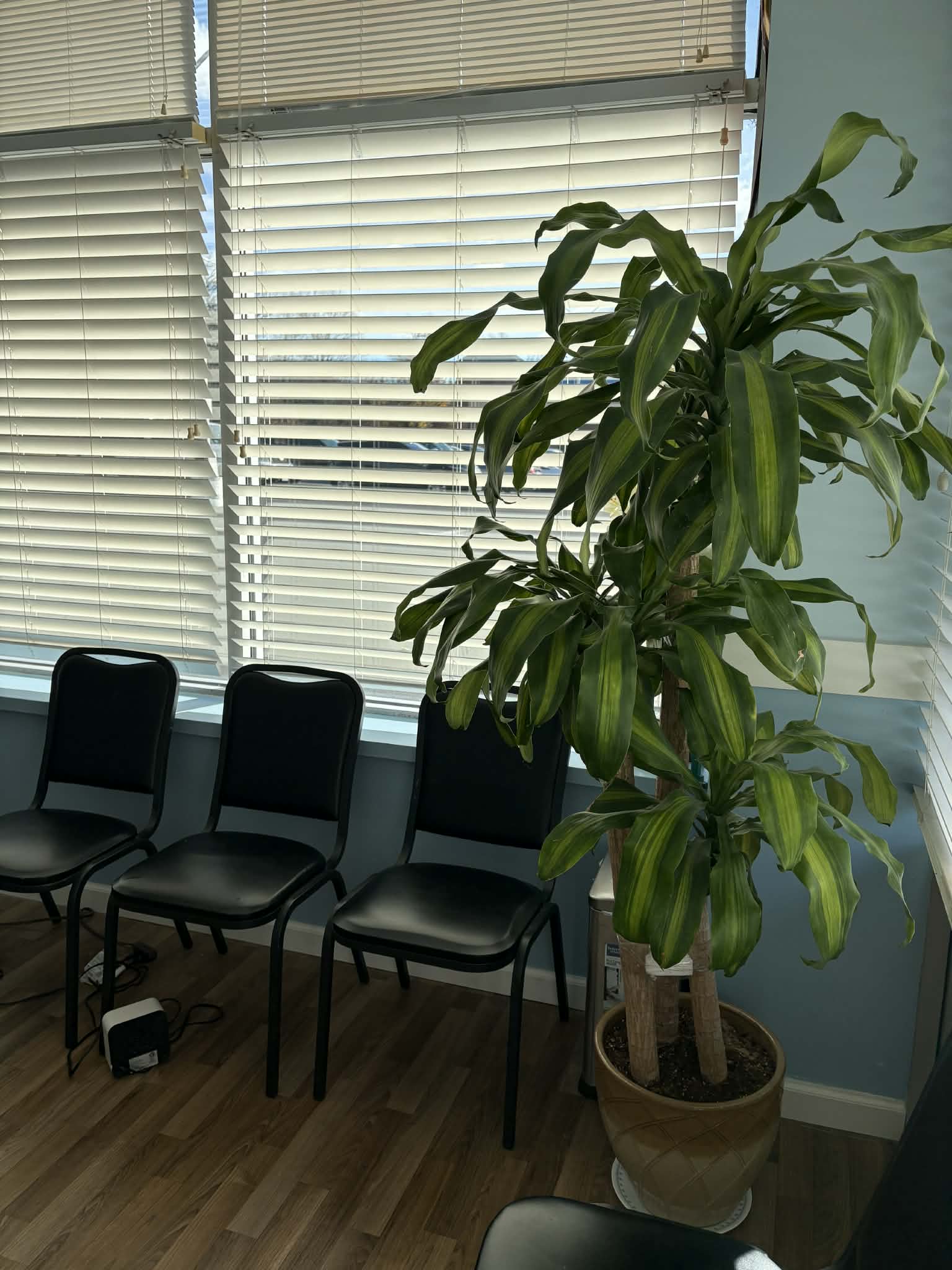 ProNails Beauty Interior